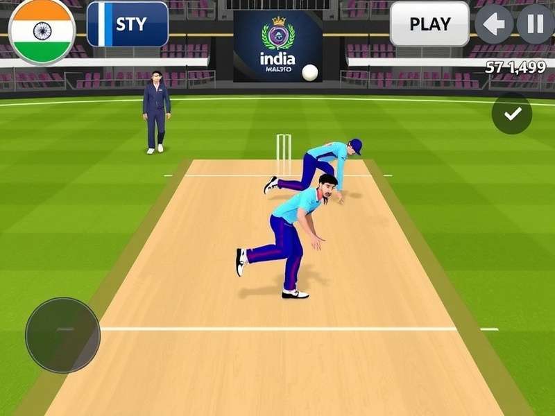 India Bowling Maestro Delivery Types